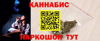 индика Заволжье