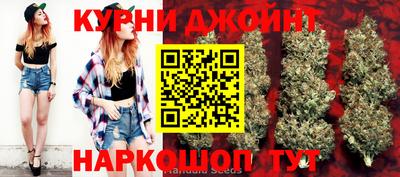 гидра Изобильный
