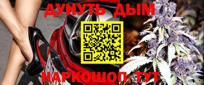 индика Заволжье