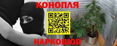 каннабис Заводоуковск