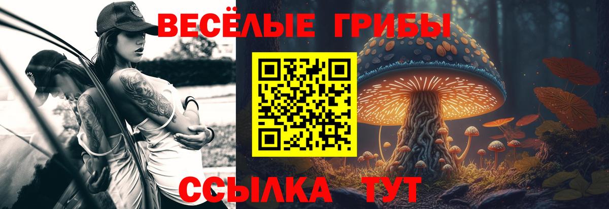Галлюциногенные грибы ЛСД Менделеевск